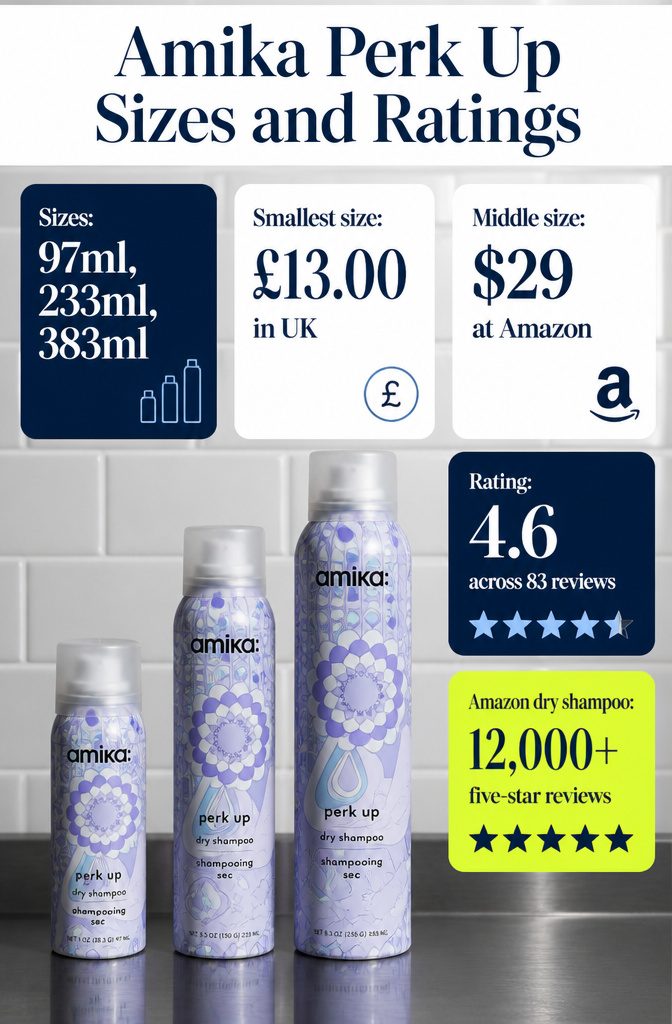 Beauty information graphic with dry shampoo sizes and ratings