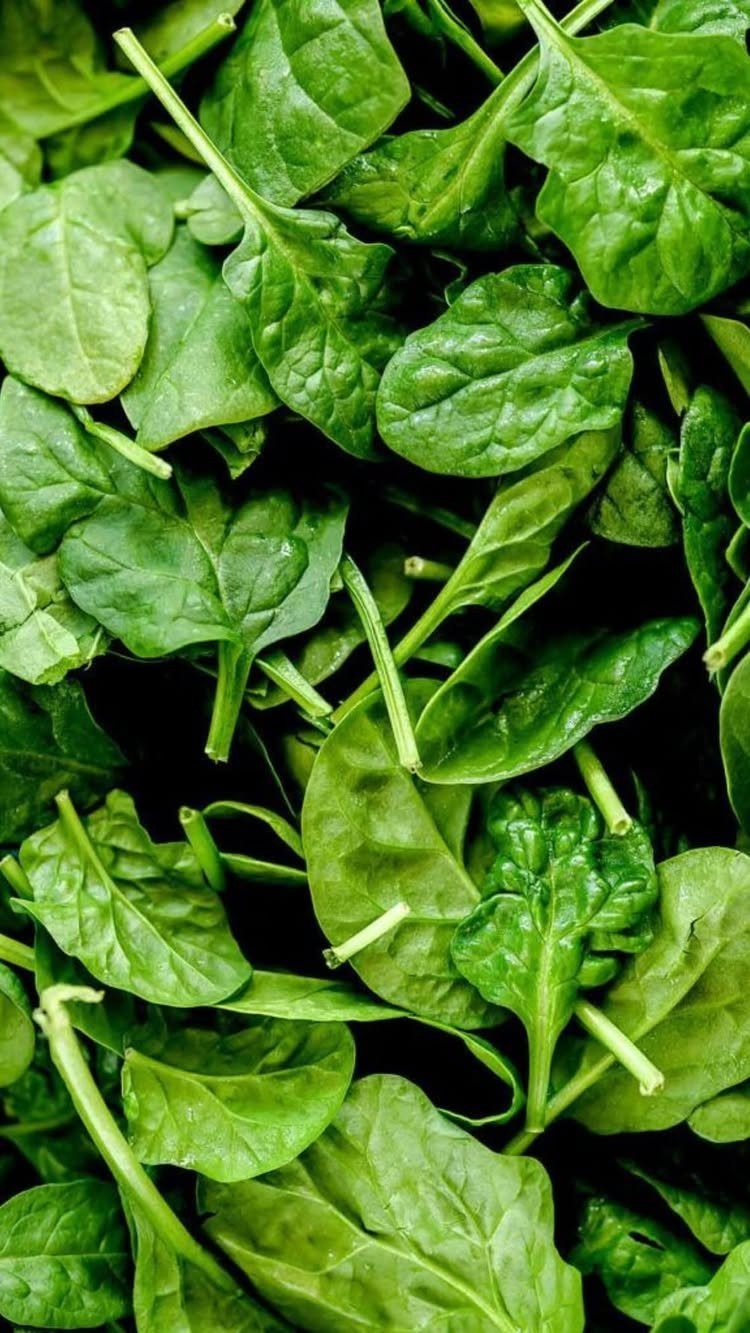 Fresh green spinach leaves filling the frame in a close-up shot.
